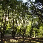 The Grove Guimarães