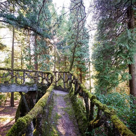 The Grove Guimarães