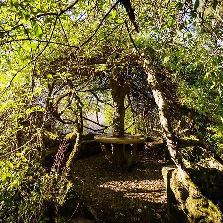 Country house The Grove Guimaraes