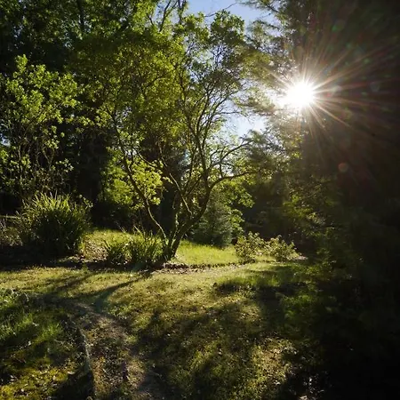The Grove Casa rural Guimarães