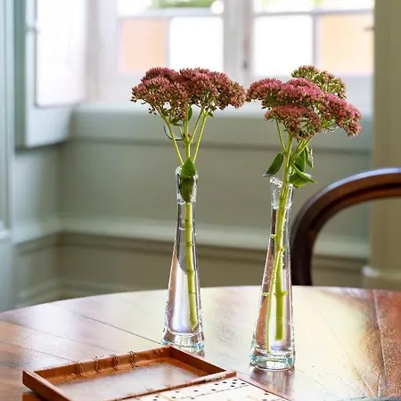 The Grove * Guimarães