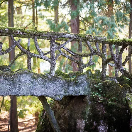 The Grove * Guimaraes