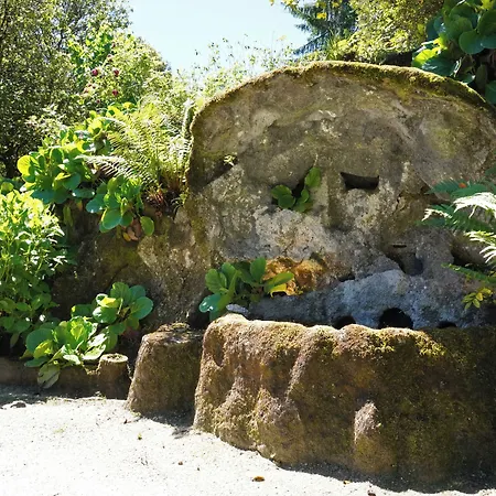 The Grove * Guimaraes