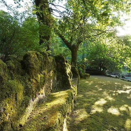 The Grove Guimarães