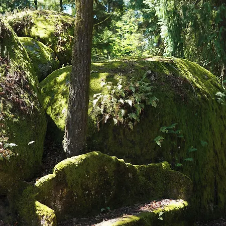 The Grove Guimarães