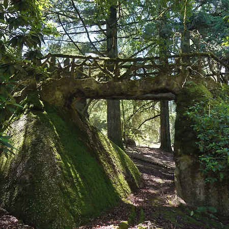 The Grove Landsted *