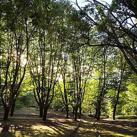 The Grove Country house Guimaraes