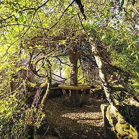 Country house The Grove
