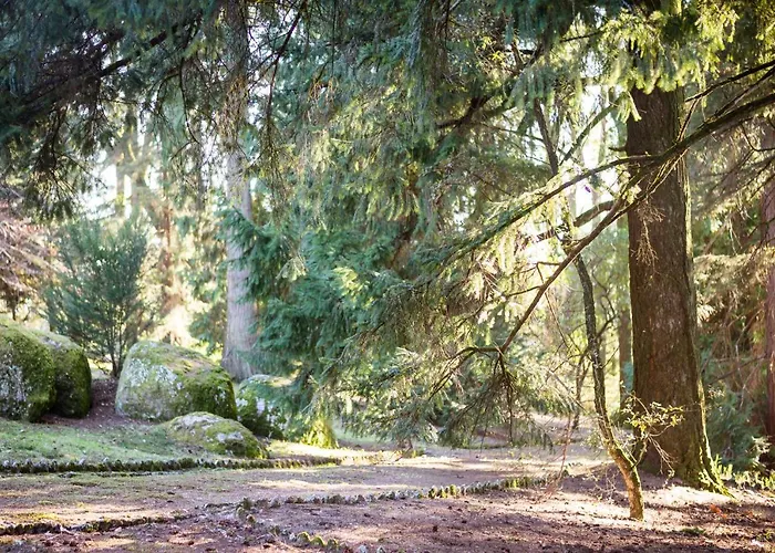 The Grove Casa rural