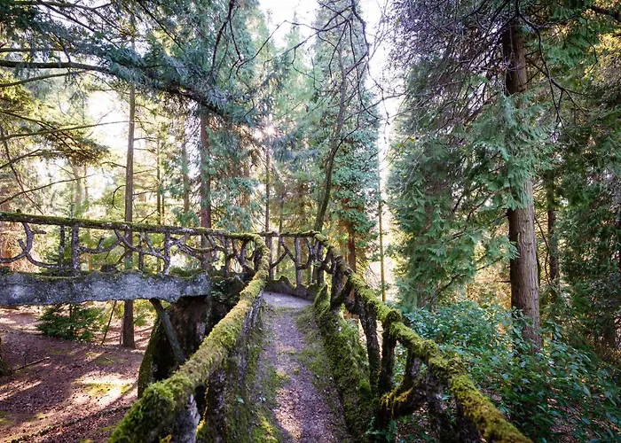 The Grove Guimarães