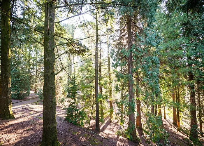 The Grove Casa rural Guimarães