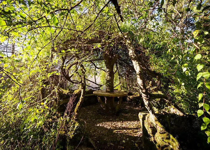 Casa rural The Grove Guimarães