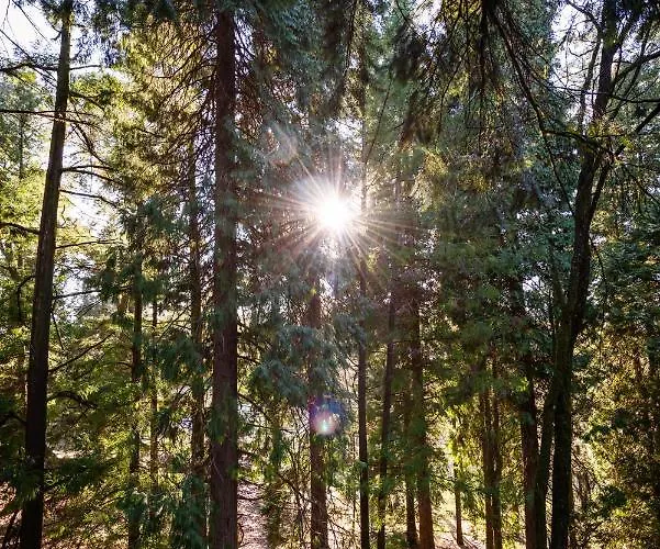 Casa rural The Grove