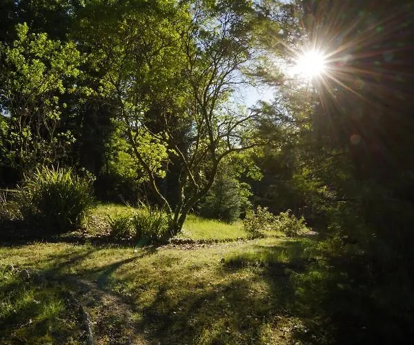 The Grove Casa rural Guimarães