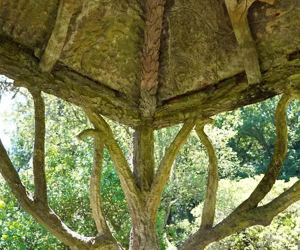 The Grove Casa rural *