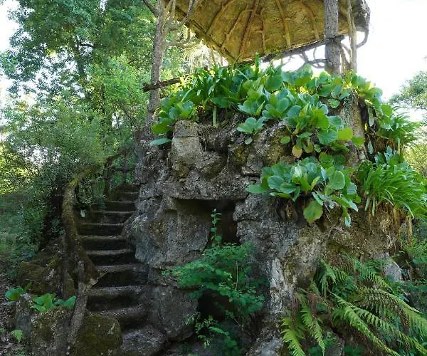 Casa rural The Grove Guimarães
