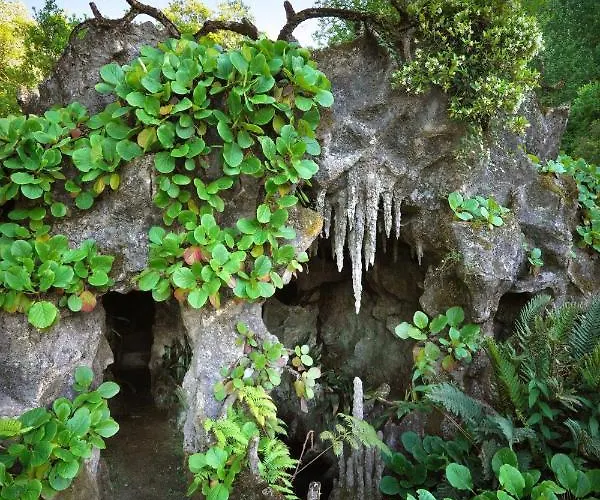 Casa de Campo The Grove *