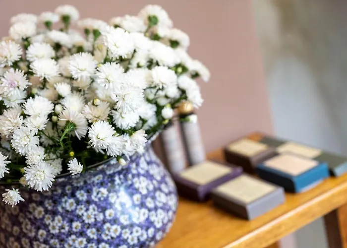 The Grove Guimarães