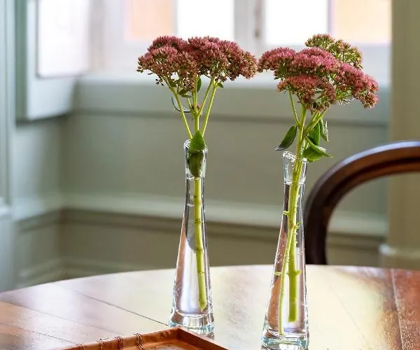 The Grove * Guimarães