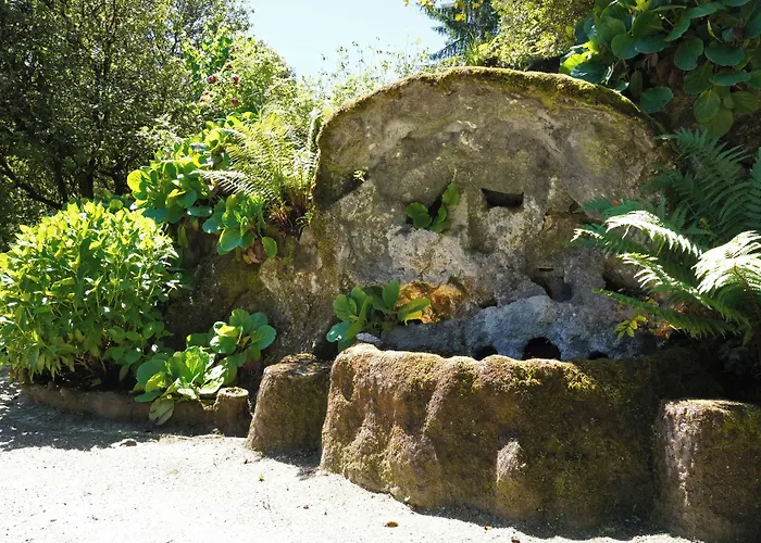 The Grove * Guimarães