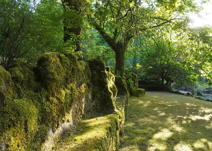 The Grove Guimarães