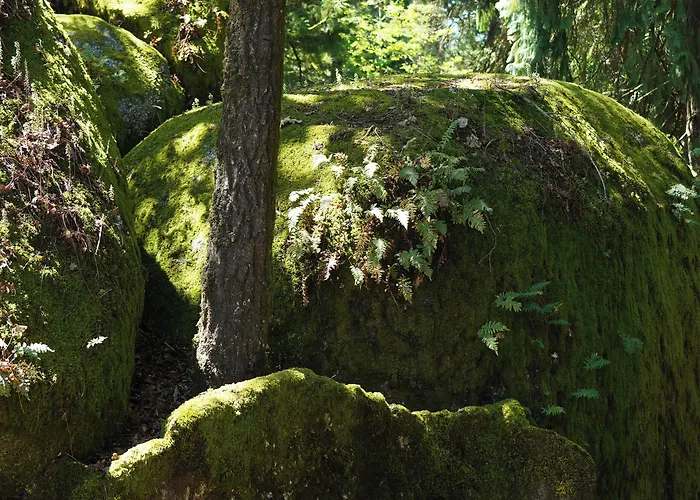 The Grove Guimarães