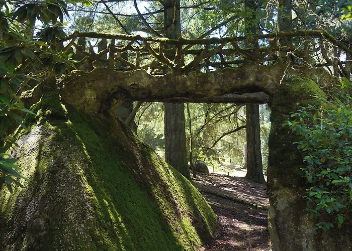 The Grove Casa rural *