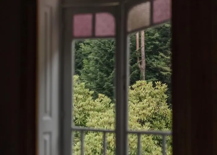 The Grove Casa de Campo